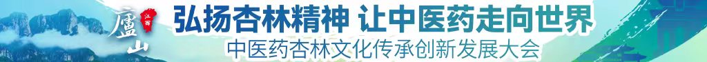 想看日本美女的老比中医药杏林文化传承创新发展大会